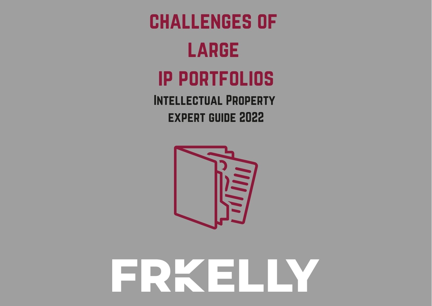 Challenges of Large IP Portfolios
